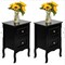 Set of 2 Nightstand Bedside End Table Shelf with 2 Drawers Bedroom Furniture